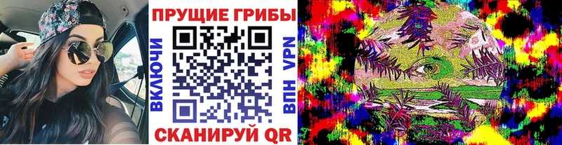 hydra вход  продажа наркотиков  Озёры  мориарти наркотические препараты  Галлюциногенные грибы мицелий 